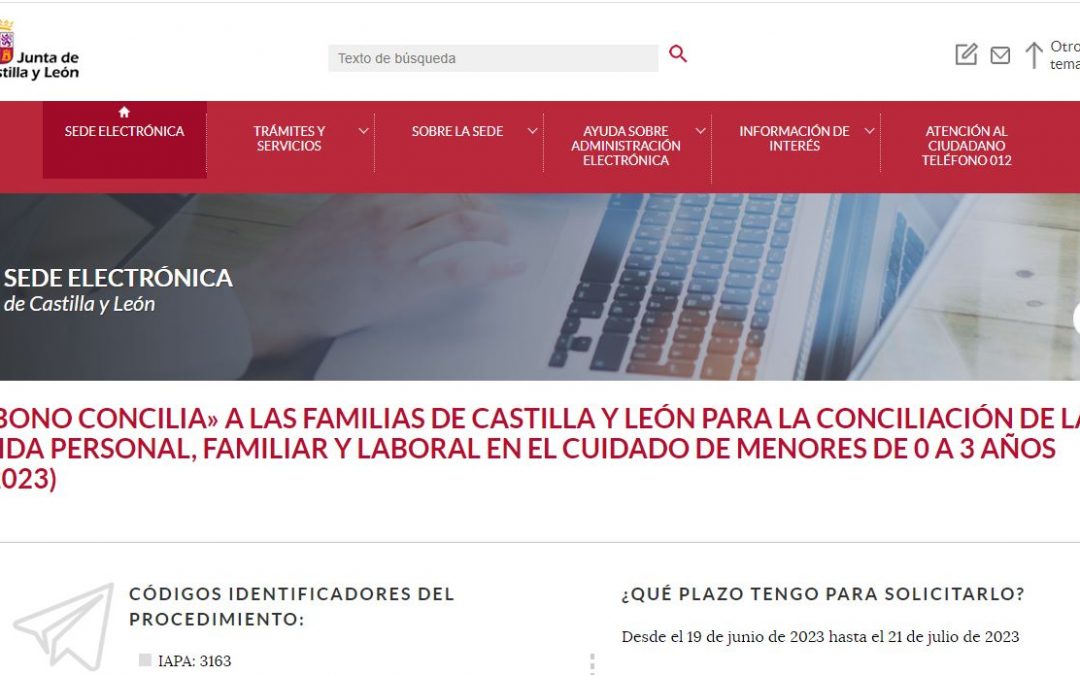 «Bono Concilia» familias de CyL para el cuidado de menores de 0 a 3 años