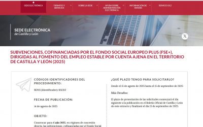 Subvenciones, cofinanciadas por el Fondo Social Europeo Plus (FSE+), al fomento del empleo estable